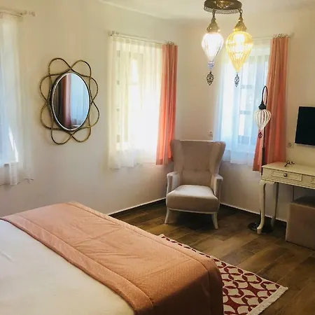 Tas Konak Eski Hotel 2*